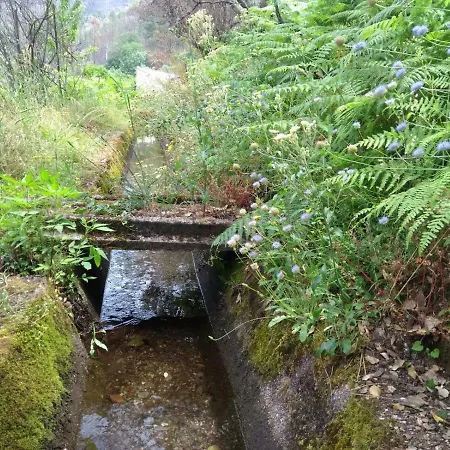 Vakantiehuis Casa D.dinis