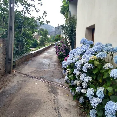 Casa D.dinis *