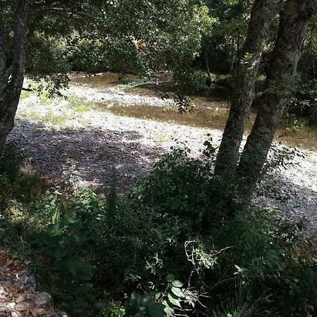 Vakantiehuis Casa D.dinis Vide