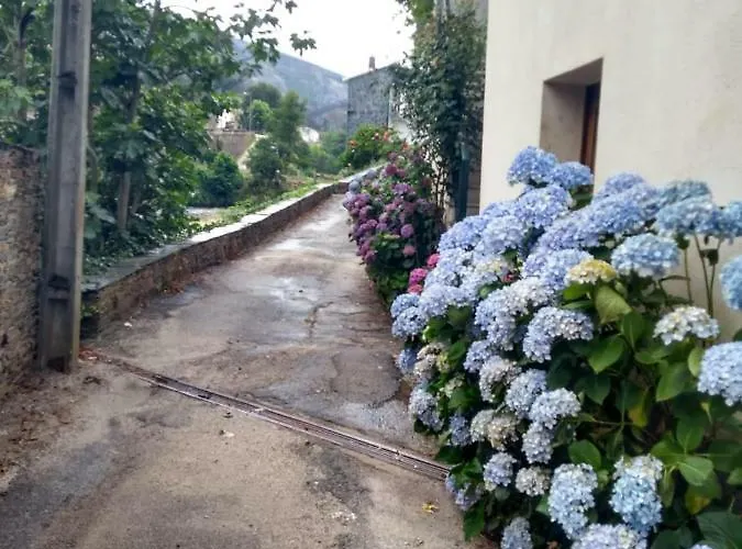 Casa D.dinis *